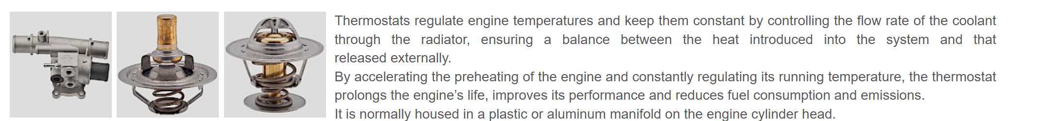 FACET engine thermostat brand for European aftermarket supply FACET engine thermostat brand for European aftermarket supply