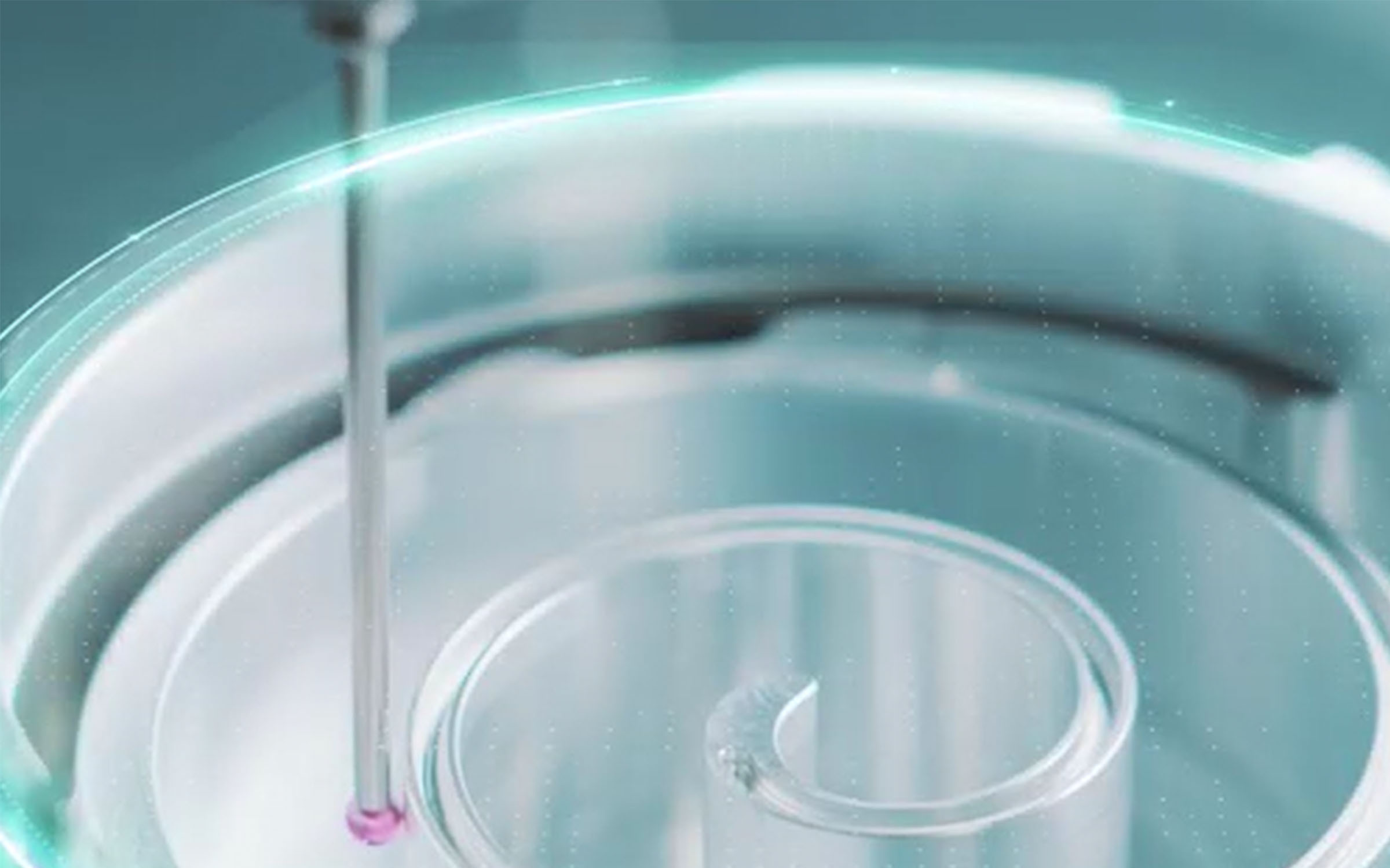 High Precision Coordinate Measuring Machine for accurate dimension verification