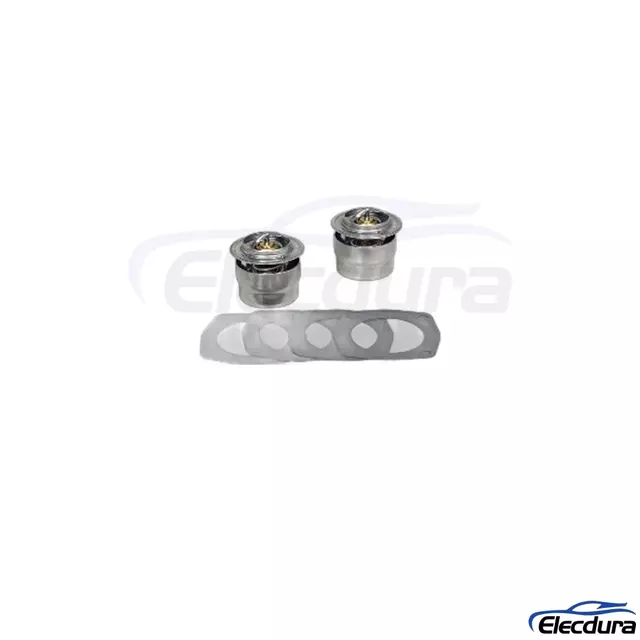 ТС107.1306100-06М2+4 Engine Coolant Thermostat for VOLGA