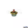 1665694 Engine Coolant Thermostat for VOLVO