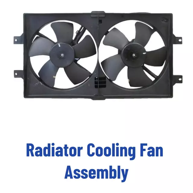 Radiator cooling fan assemblies for vehicle engine cooling systems